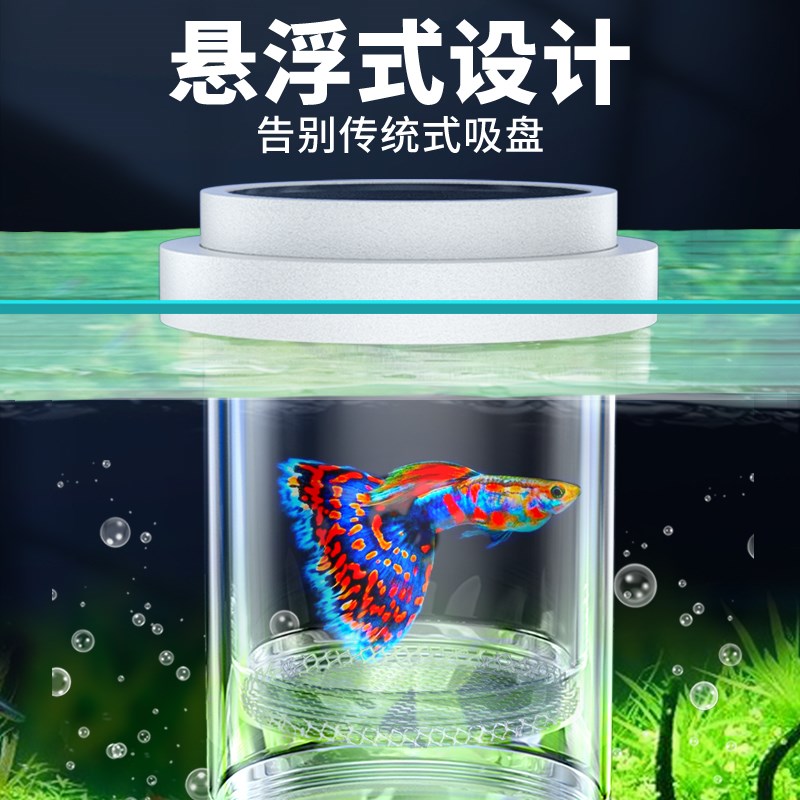 孔雀鱼繁殖盒鱼缸内热带鱼小型鱼幼鱼孵化鱼产房悬浮式漂浮隔离盒