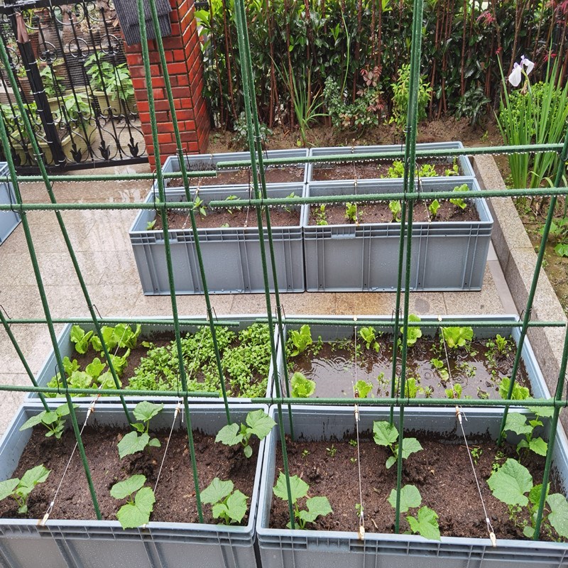 葡萄架子庭院阳台花架爬藤架户外种植黄瓜番茄支撑杆固定搭建架子