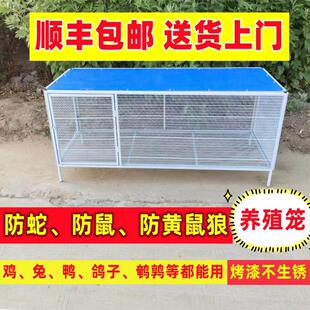 鸡笼子家用室外防雨鸡舍家禽鸡鸭鹅折叠加密铁丝网防黄鼠狼养殖笼