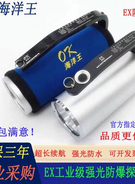 海洋王强光防爆探照灯RJW7102A手提式手电筒可充电式大功率RJW710