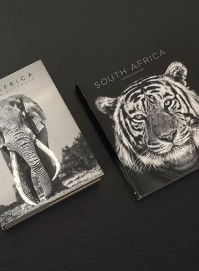 OPEN装饰书动物世界样板房书房儿童房书架摆件摆场拍摄真书可翻阅