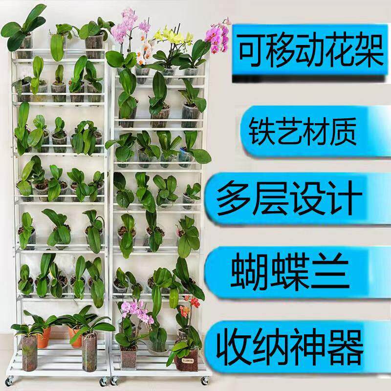 蝴蝶兰移动花架落地式带轮国兰石斛兰多层置物架家用阳台客厅收纳