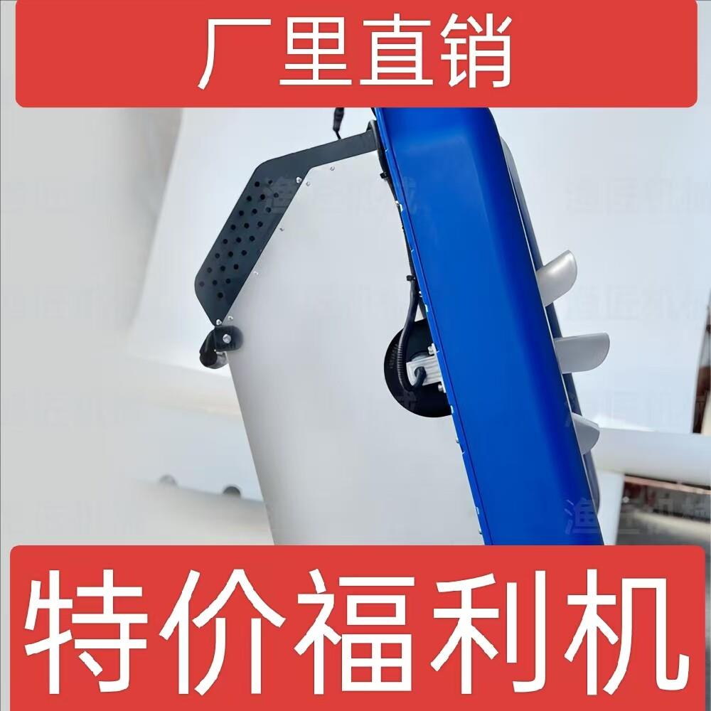厂家直销龙虾蟹塘养殖专用明轮船用推进器12V48V大功率铜电机防水