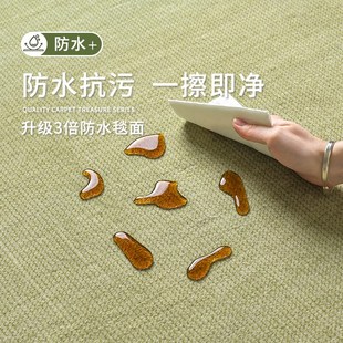 免洗可擦免打理奶油风地垫轻奢高级防水防污 地毯客厅绿色2025新款