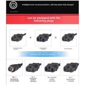 适用天能电池电动车正品 充电器48V60V72V12AH20AH30A天能电瓶通用