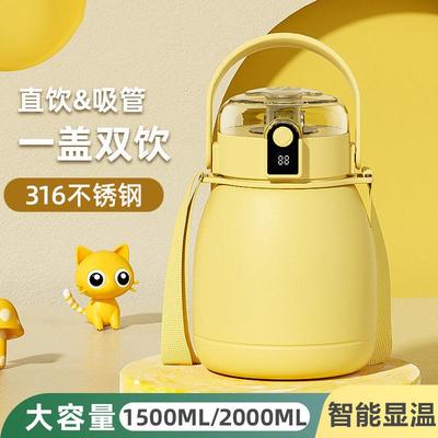 吨吨桶保温杯316不锈钢2000ml毫升大容量智能显温大肚吸管水壶女