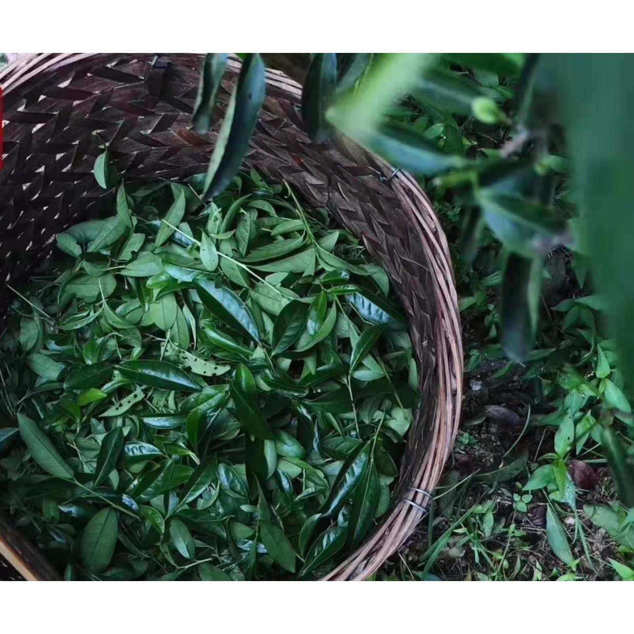 【大红袍碎茶】大分量一斤装武夷山岩茶泡袋装性价比正岩岩韵坑涧