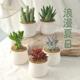办公室桌面多肉小盆栽大颗好养室内花卉盆栽窗台绿植创意生日礼物