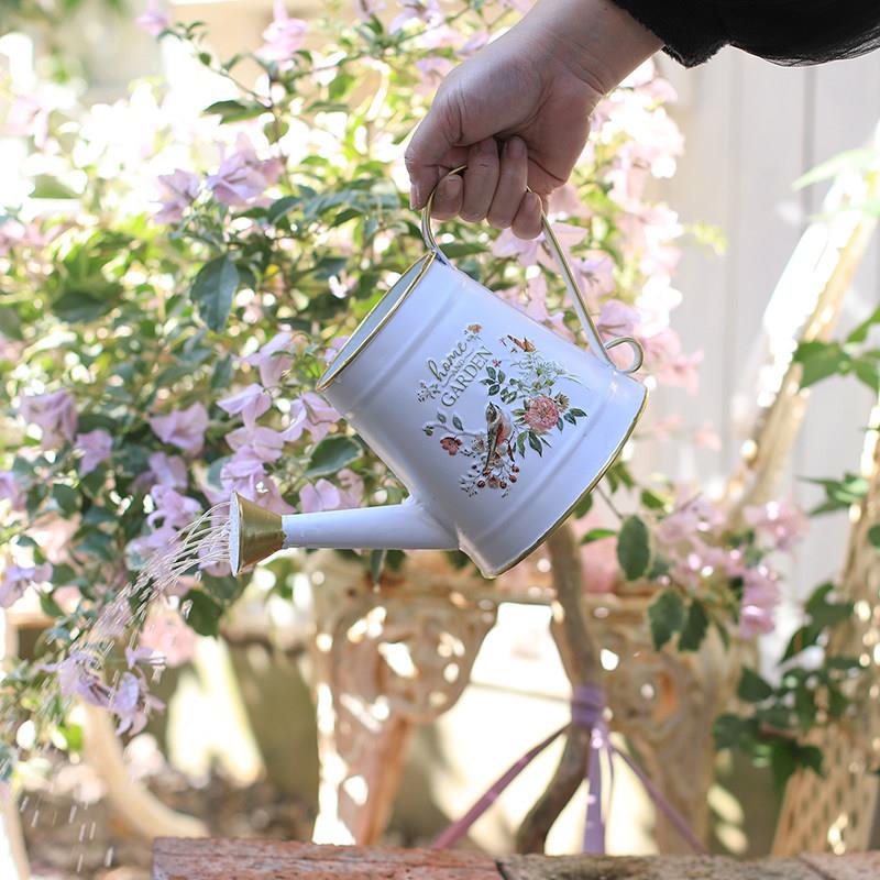欧式复古铁艺洒水壶家用浇花壶庭院花器园艺工具花园长嘴浇水壶