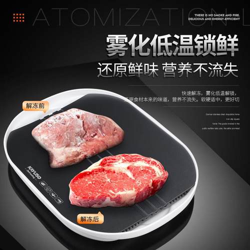 德国解冻器神器保鲜快速家用食物解冻机商用食品肉化冻盘牛排恒温