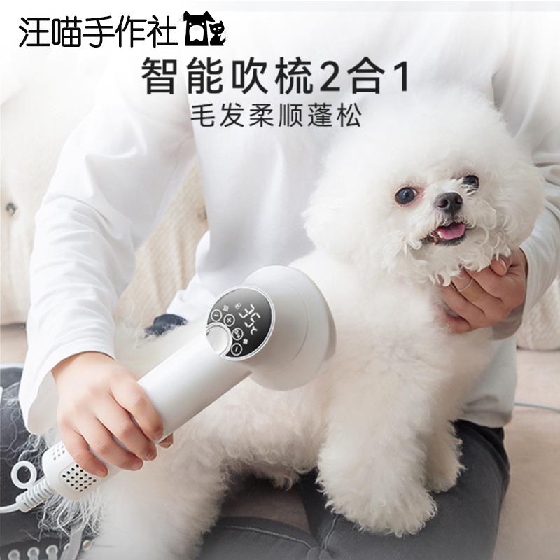 宠物吹风机狗狗拉毛一体烘干机猫咪吹水机吹毛神器烘干专用吹风机
