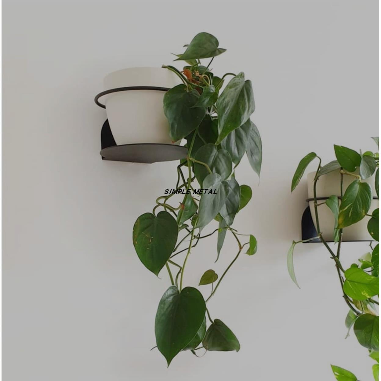 墙壁装饰花卉展示架置物架摆件植物架壁挂式花盆室内SIMPLE METAL