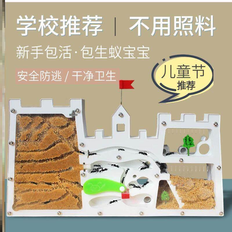 大生态蚁蚁窝免装版蚂蚁城堡蚂蚁送蚁后卵学生观察巢箱室屋家园巢