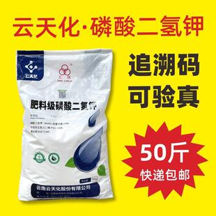 【大户专享】磷酸二氢钾25kg 农用叶面肥50斤 正品云天化磷钾肥料