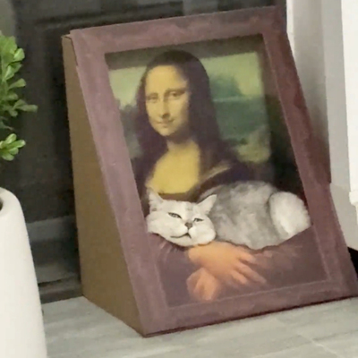 蒙娜丽莎猫窝抽象猫抓板一体可爱耐磨玩具四季通用透气抖音同款