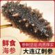 大连海参即食刺参鲜活冷冻辽参干 干货海参真空特价 滋补水产冷冻