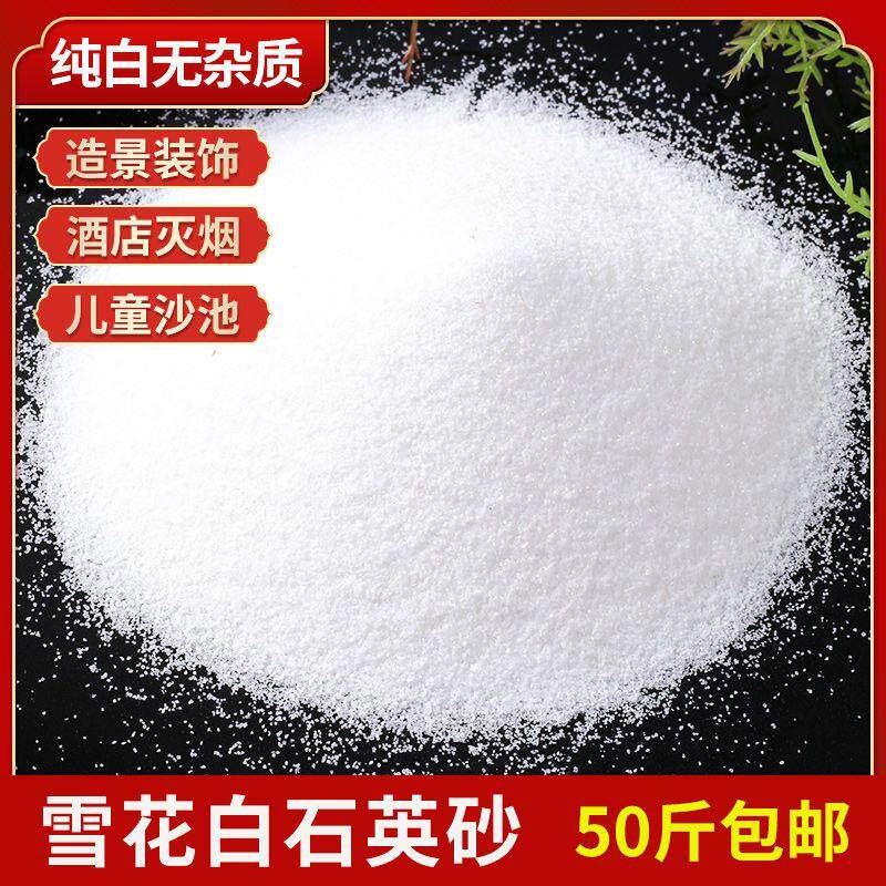 50斤白沙石英砂白色细沙子鱼缸底砂枯山水垃圾桶烟灰缸纯白造景沙