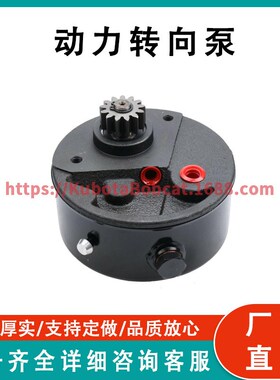 Solarhome i动力转向泵 518369M92 适用于 Massey Ferguson 135