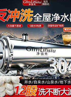 自动清洗全屋净水器304不