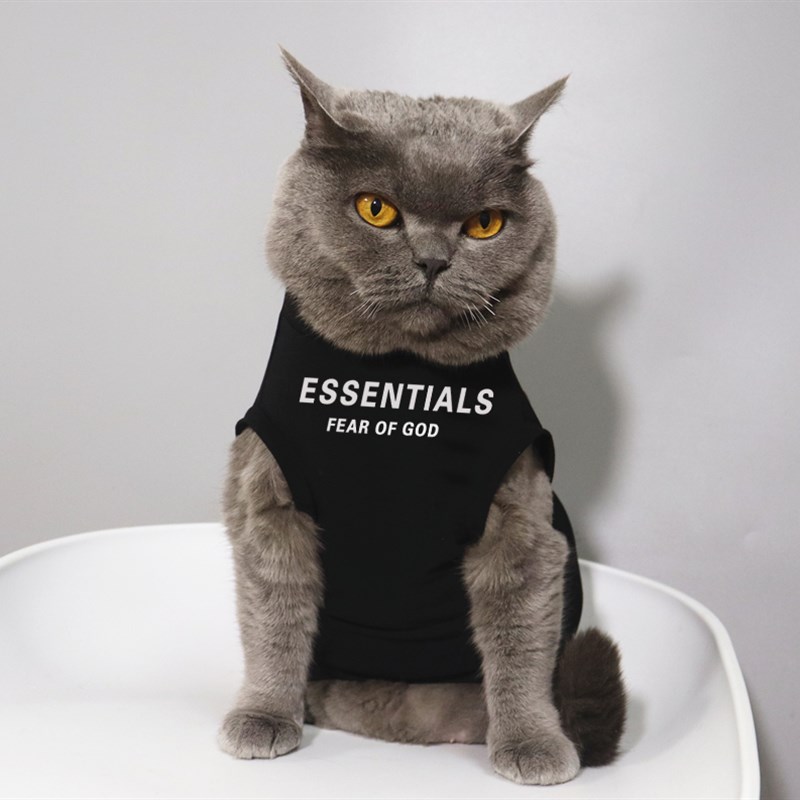 美式狗狗背e心宠物猫咪比熊小型小狗衣服猫咪衣服夏季薄款防掉毛