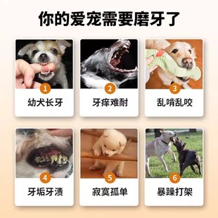 狗狗零食冻干e鸡脖子宠物营养磨牙棒洁齿大中小型犬训练奖励风干