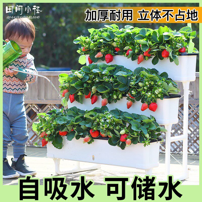 阳台种菜盆种菜专用箱室内种菜架户外菜K架草莓花盆顶楼蔬菜种植