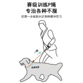 宠物P链P字绳训犬用品狗狗牵引绳遛狗H绳子小狗链子小型犬中型大