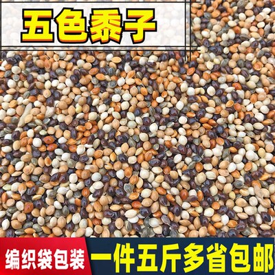 中小型鹦鹉鸟食饲料五色黍子w虎皮牡丹玄风鹦鹉文鸟混合粮谷子包