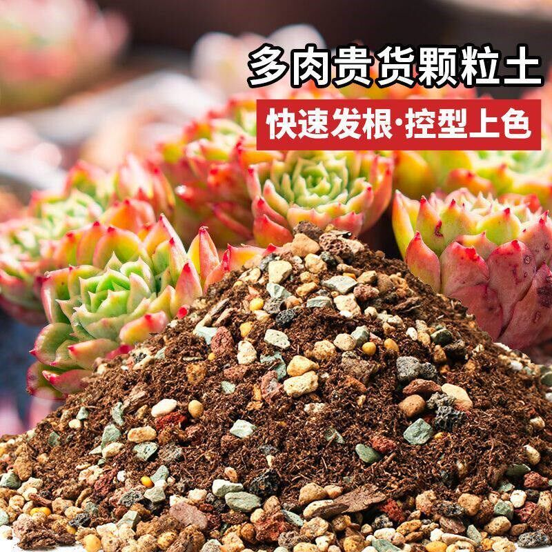 多肉专用颗粒土营养土小苗u老桩土专用土泥炭种植土壤纯铺面石肥
