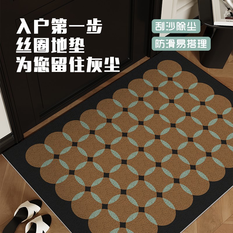 入户门丝圈地垫中古风家用脚垫防滑玄关垫M大门口进门小地毯免打