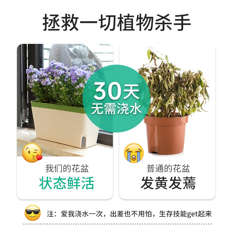 自吸水花盆懒人种花小花箱桌面y阳台草莓种植盆栽种菜专用葱盆家