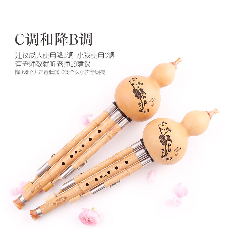 葫芦丝 乐器 初学 C调 降B调 学生入门 防裂 筚郎 V七孔楠竹葫芦