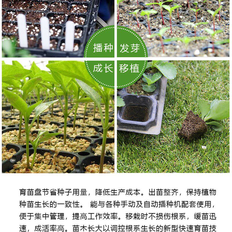 育苗盘穴盘育苗盒育苗盆蔬菜育苗盆塑K料育苗器苗木多肉整箱箱