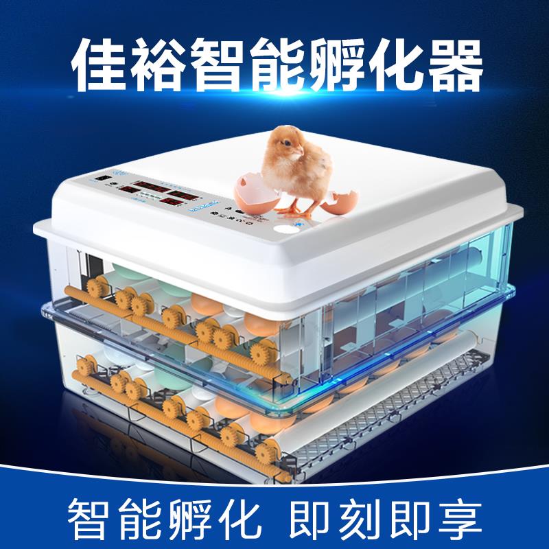 佳裕全自动孵化器小型家用型小鸡孵化机智能鹅孵蛋器芦丁鸡孵化箱