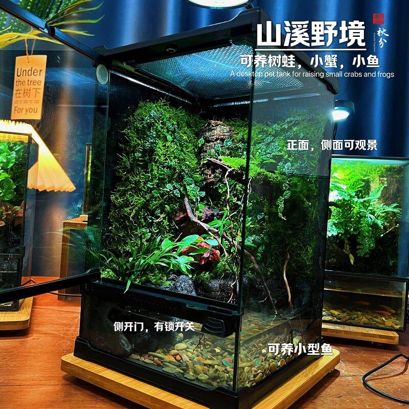 桌面雨林缸苔藓微景观生态瓶养宠物树蛙鱼蟹成品造景发货懒人打理