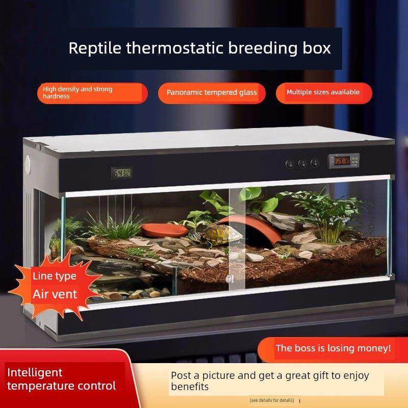 恒温爬宠饲养箱乌龟过冬眠保温箱守宫盒鬃狮蜥蜴宠物角蛙爬虫动物,宠物/宠物食品及用品,爬宠缸/箱,淘宝优惠券,粉丝福利购,淘宝优惠卷