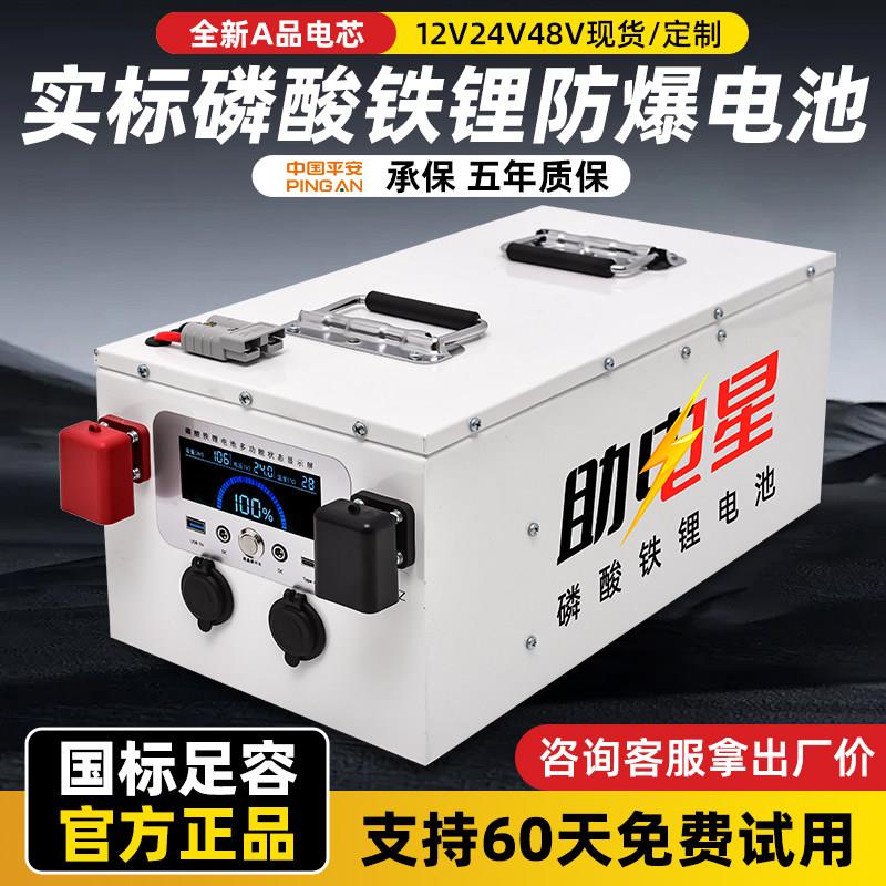 助电星实标大容量12v24V48伏储能磷酸铁锂电池全新国轩大单体电芯