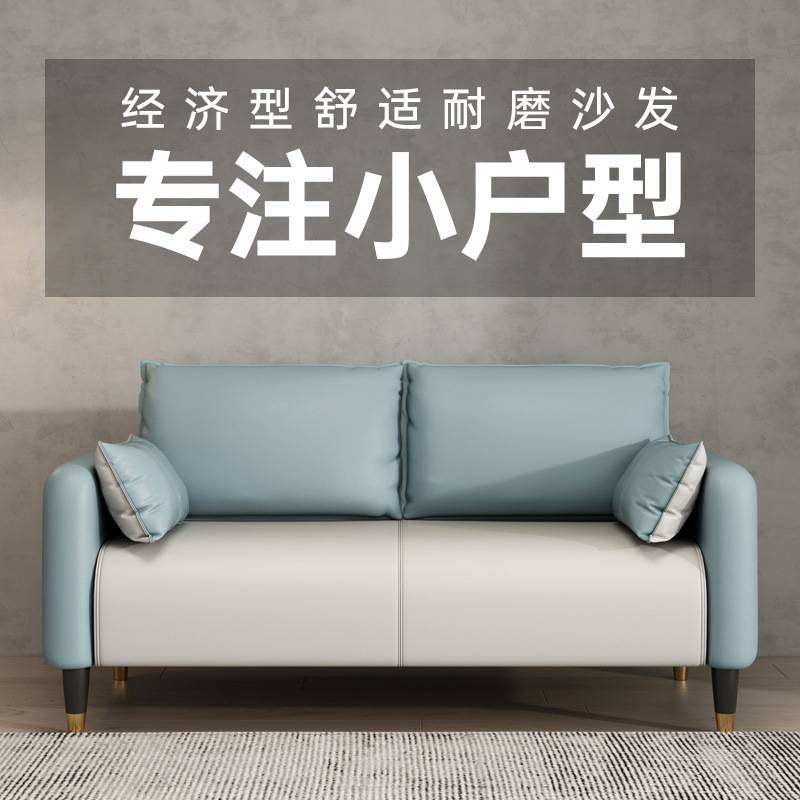 猫抓皮沙发小户型客厅简约双人两三人座出租屋租房服装店简易货源