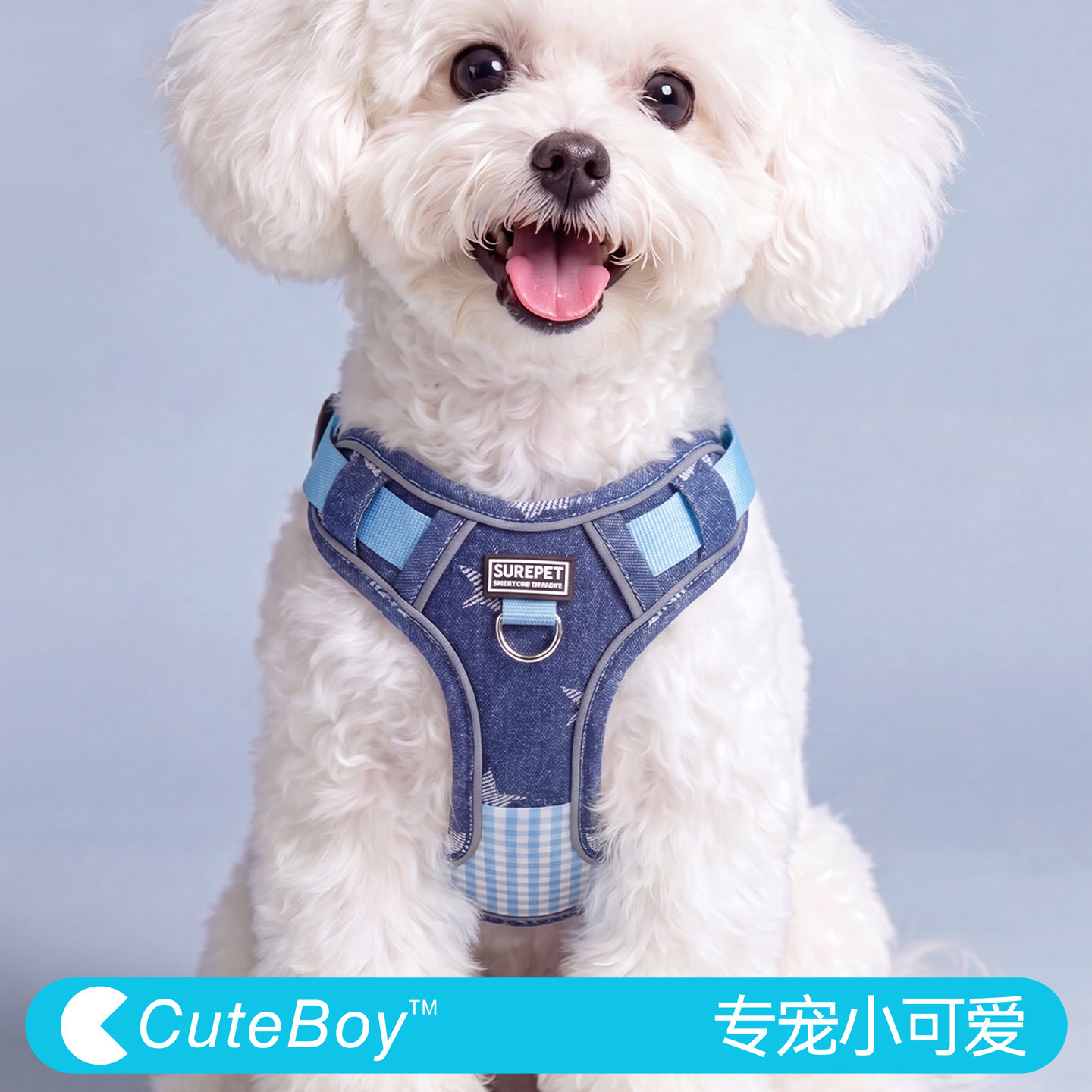 狗狗胸背中小型犬胸背带比熊柯基遛狗绳宠物防爆冲背心式狗牵引绳