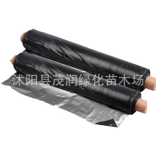 黑银聚乙烯地膜 农用地膜黑反光膜防草防冻膜薄膜农用遮光膜