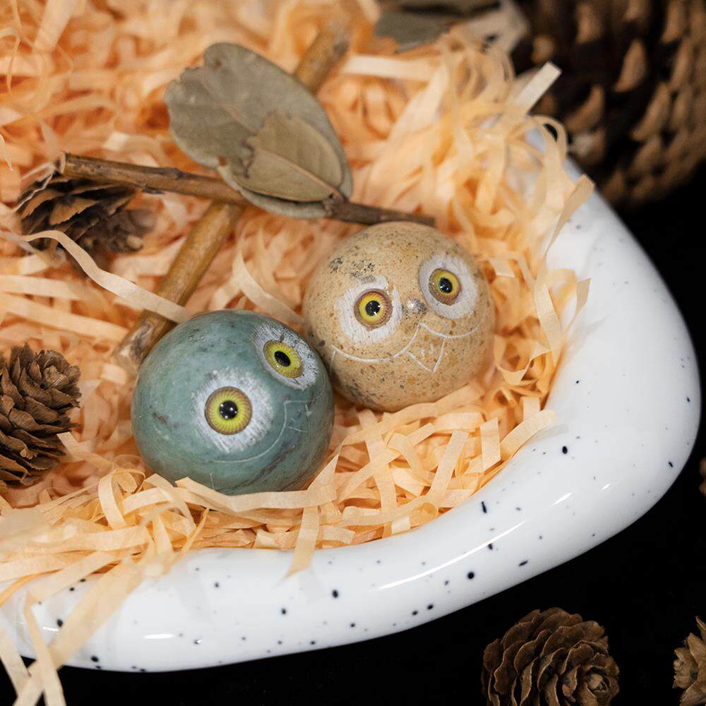 《石头宠物》桌面解压小摆件养只宠物猫头鹰天然石头石小净可爱