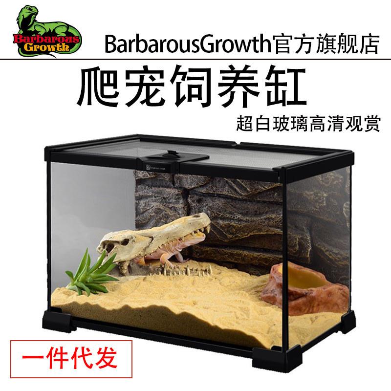 玻璃缸雨林缸爬宠饲养箱角蛙蜘蛛蜥蜴睫角守宫带盖双开门树栖爬缸