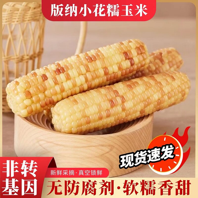 云南西双版纳香糯小玉米5斤新鲜花糯甜糯玉米棒真空开袋即食早餐
