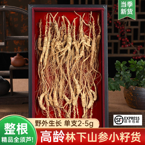 长白山人参高龄林下参小籽货林下野山老参东北干参煲汤泡酒带礼盒