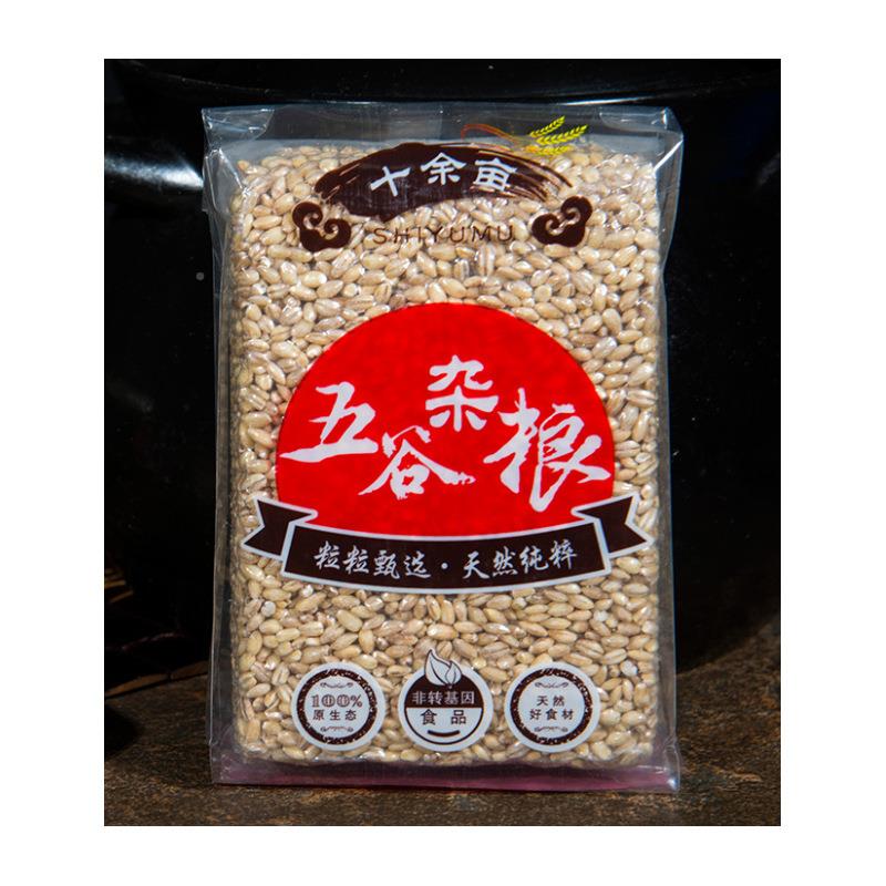 食机品颗抽真空五谷杂粮装械全自动立274式真包空粒包装机厂家直