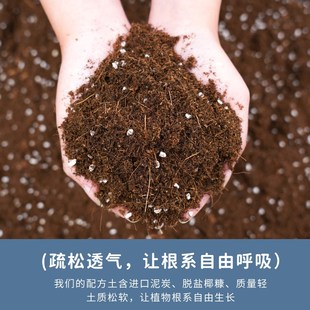 营养土养花通用型庭院花土种花菜家用土壤改良种植介质泥炭土
