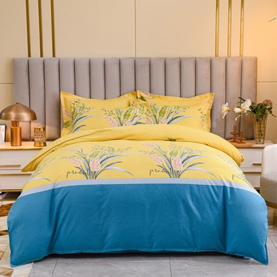 1米8x2米新款床上四件套全棉180x200x220被套一米八乘两米二