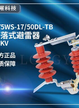 高压氧化锌10KV户外高压跌落式防雷HY5WS-17/50DL-TB可卸式避雷器