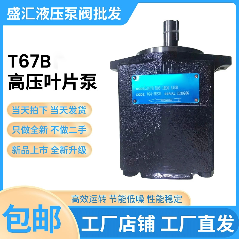 DENISON丹尼逊T67B B04 1R02 A1M0 VC00叶片泵T6C/T6E 017 3L00 B