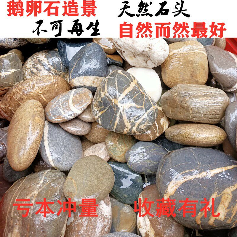 天然超大水族鹅卵石头晒台三湖慈鲷鱼缸底砂围边造景彩绘庭院装饰